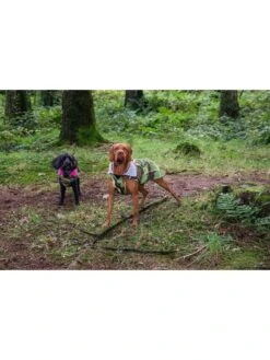 Dryrobe Poncho Til Hunde | Camo/Pink -BUB Snow Butik dryrobe dryrobe poncho til hunde camopink 580x773p 5