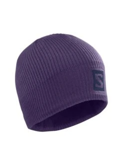 Salomon Logo Unisex Beanie Strikhue | Grape/Night Sky (lilla)